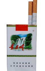 黃果樹香煙與貴州軟件開發(fā)的特色發(fā)展路徑